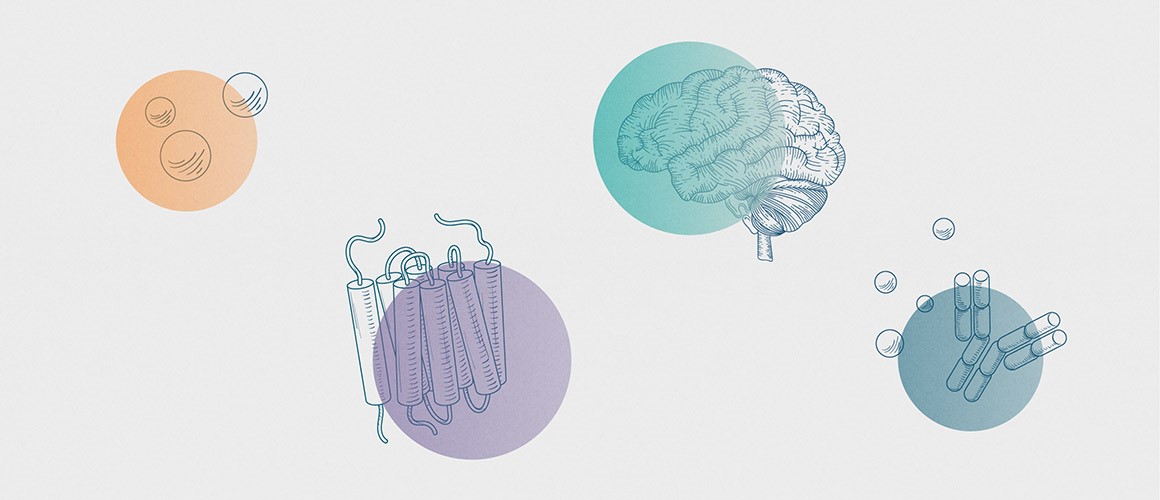 Amylin-1150x500.jpg Amylin-1150x500.jpg