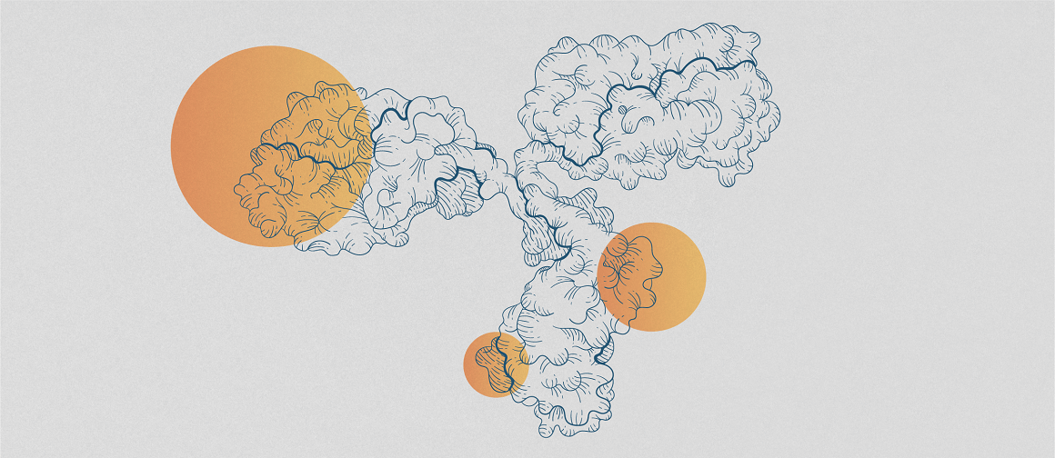 EAN21_No2_1150x500px_150ppi.png EAN21_No2_1150x500px_150ppi.png