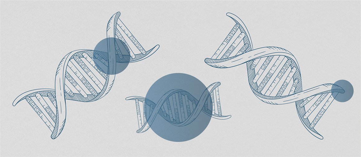 EAN21_No8_1150x500px_150ppi.png Drawing including three DNA molecules and three big blue dots.