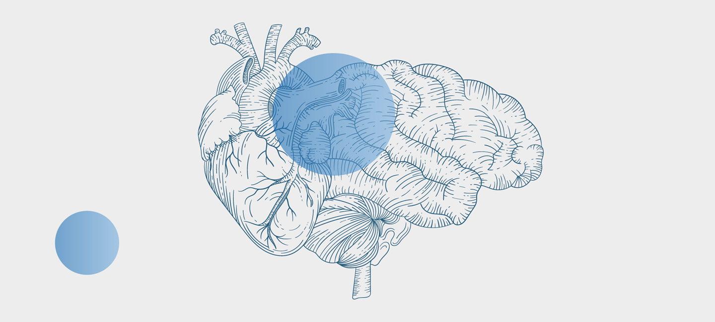 MigraineAndVascularRiskFactors_1160x500px_144ppi.png Illustration of a brain overlaid with a semi-transparent blue circle.