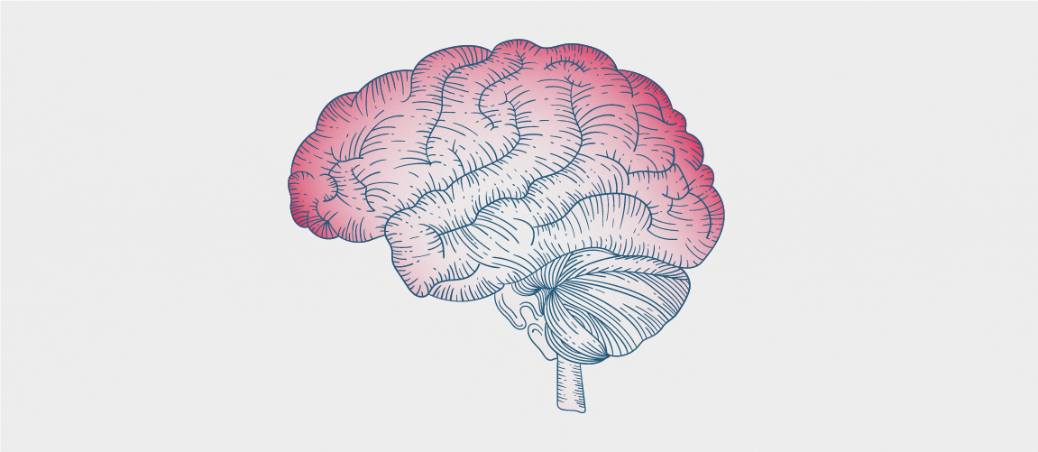Pain - 1150x500.png A monochromatic illustration of a human brain with red gradient shading.